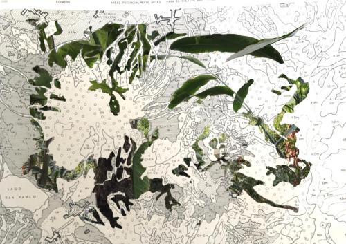 Agrotopographie  2: Résilience